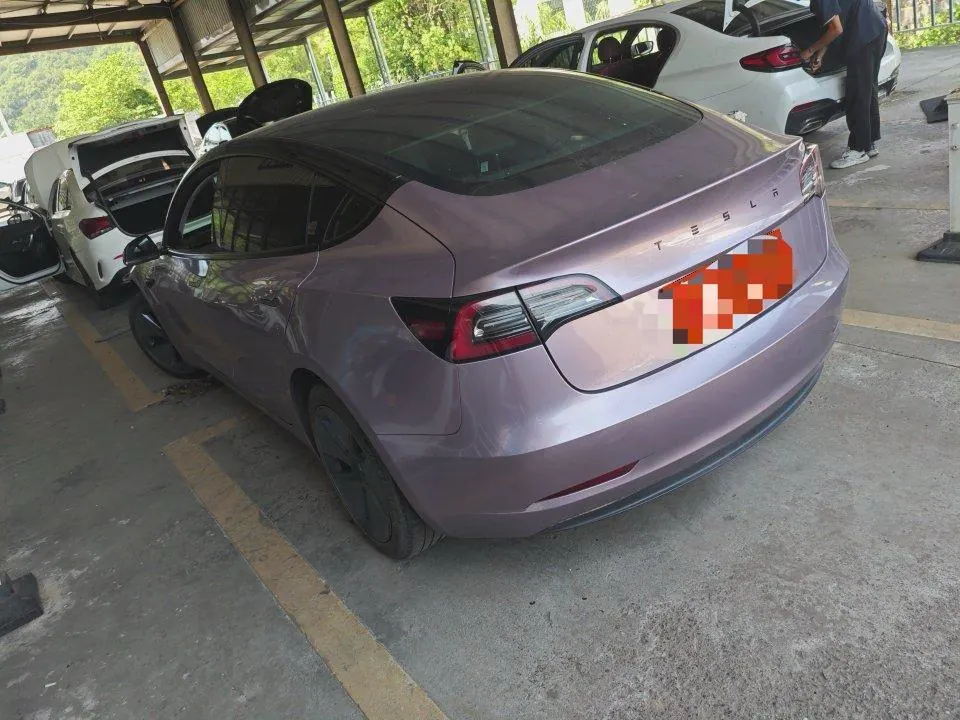 Tesla 2021 Model 3 Standard Endurance Rear Drive Upgraded Automatic Gear 6