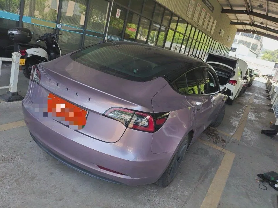 Tesla 2021 Model 3 Standard Endurance Rear Drive Upgraded Automatic Gear 7