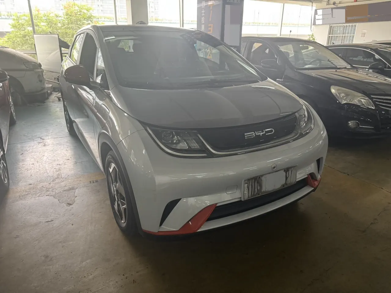 BYD 2021 Dolphin 405km Fashion Edition Automatic 3