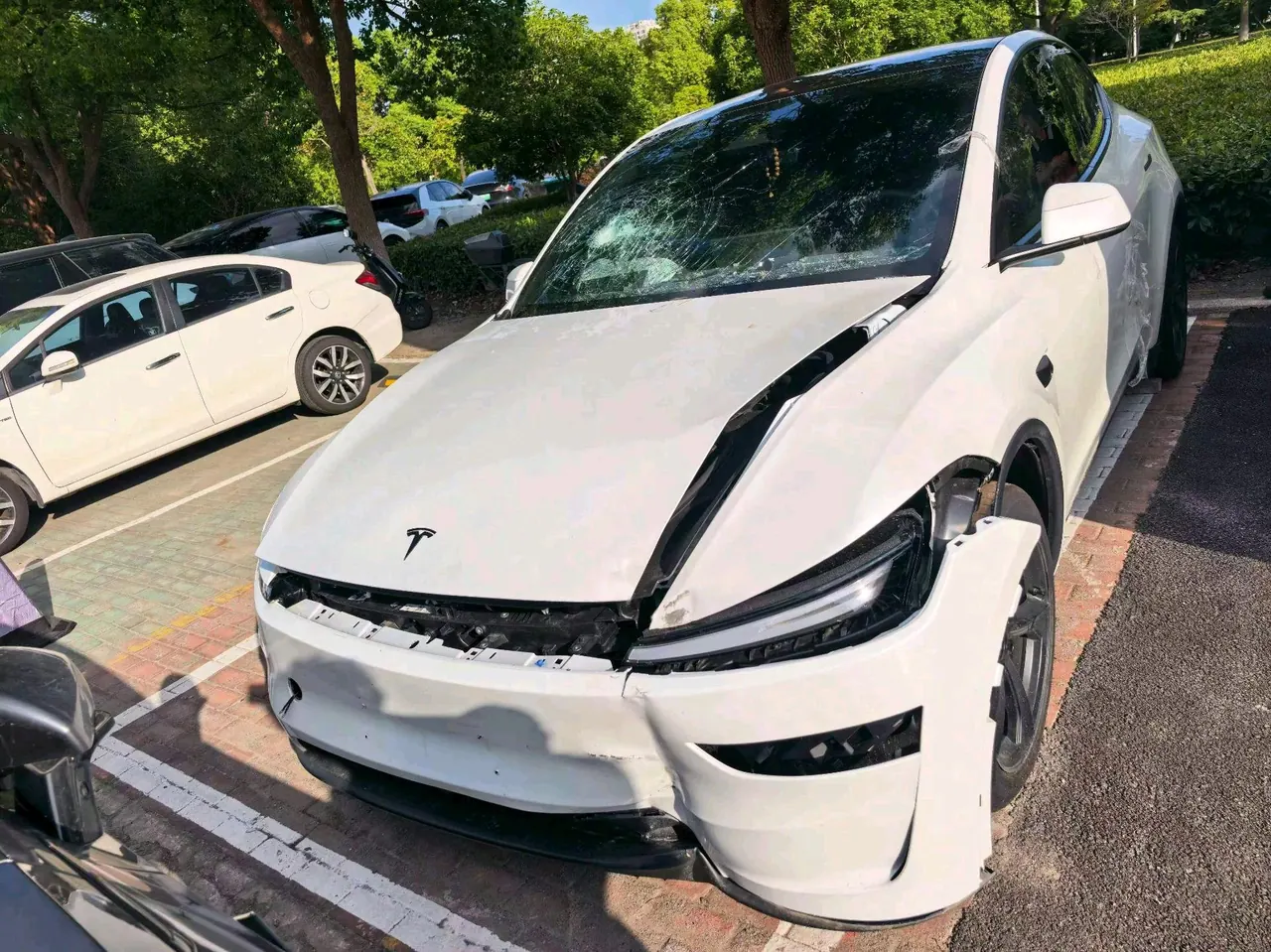 Tesla 2026 Model Y Rear-Wheel-Drive Automatic 10