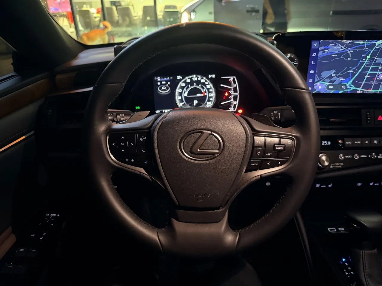 Lexus ES (Imported) 2024 ES200 2.0 Stepless Edition Automatic Gear 10