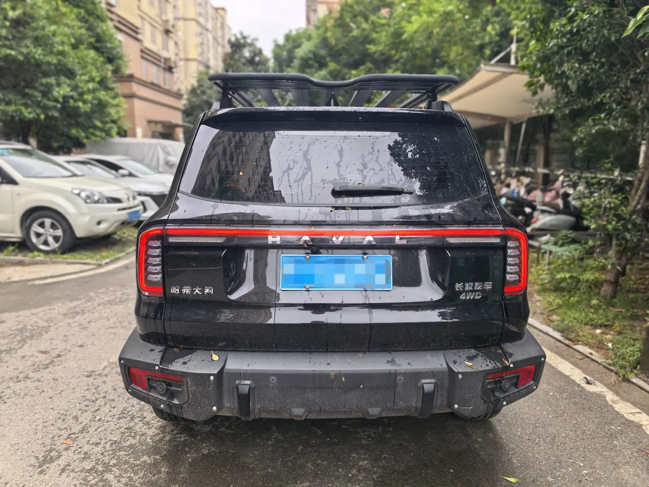 Haval 2024 big dog 2.0T Chinese garden dog version automatic gear 4
