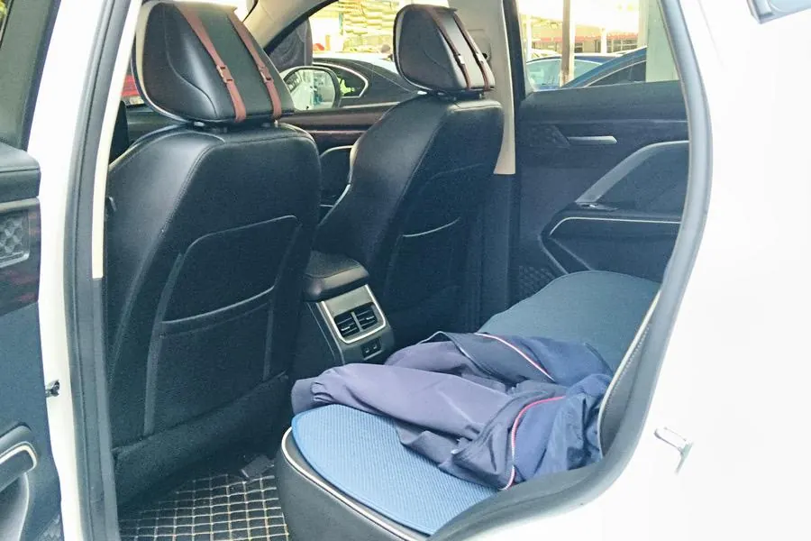 Haval 2023 H6 1.5T National Tide Champion Edition Automatic Gear 9