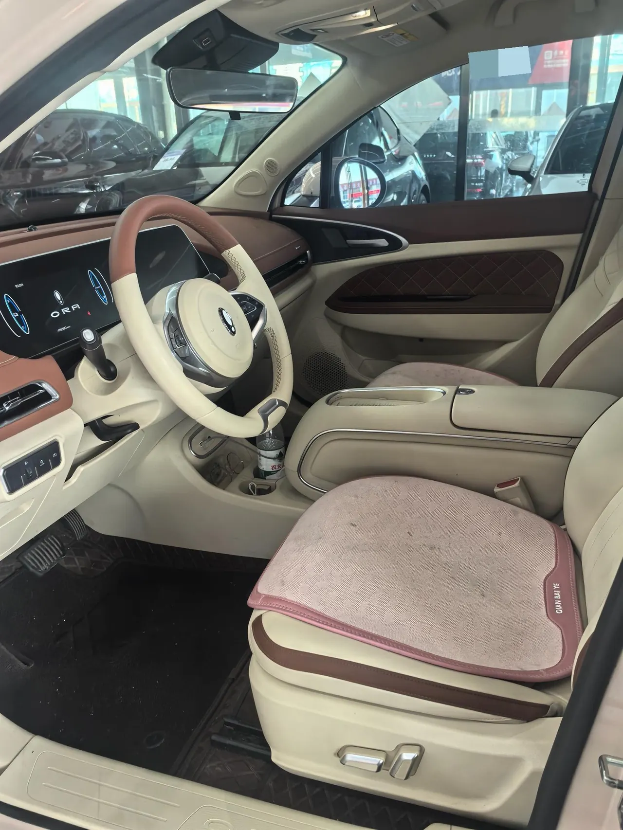 Ora 2023 Good Cat 401km Standard Endurance Luxury Lithium Iron Phosphate Automatic Gear 9