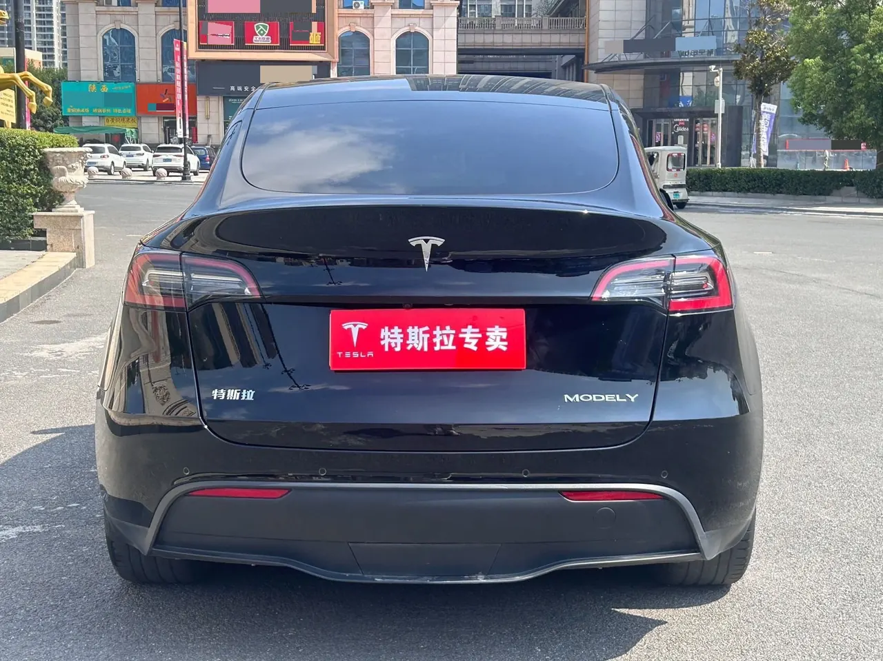 Tesla 2022 Model Y rear-wheel drive version automatic transmission 8