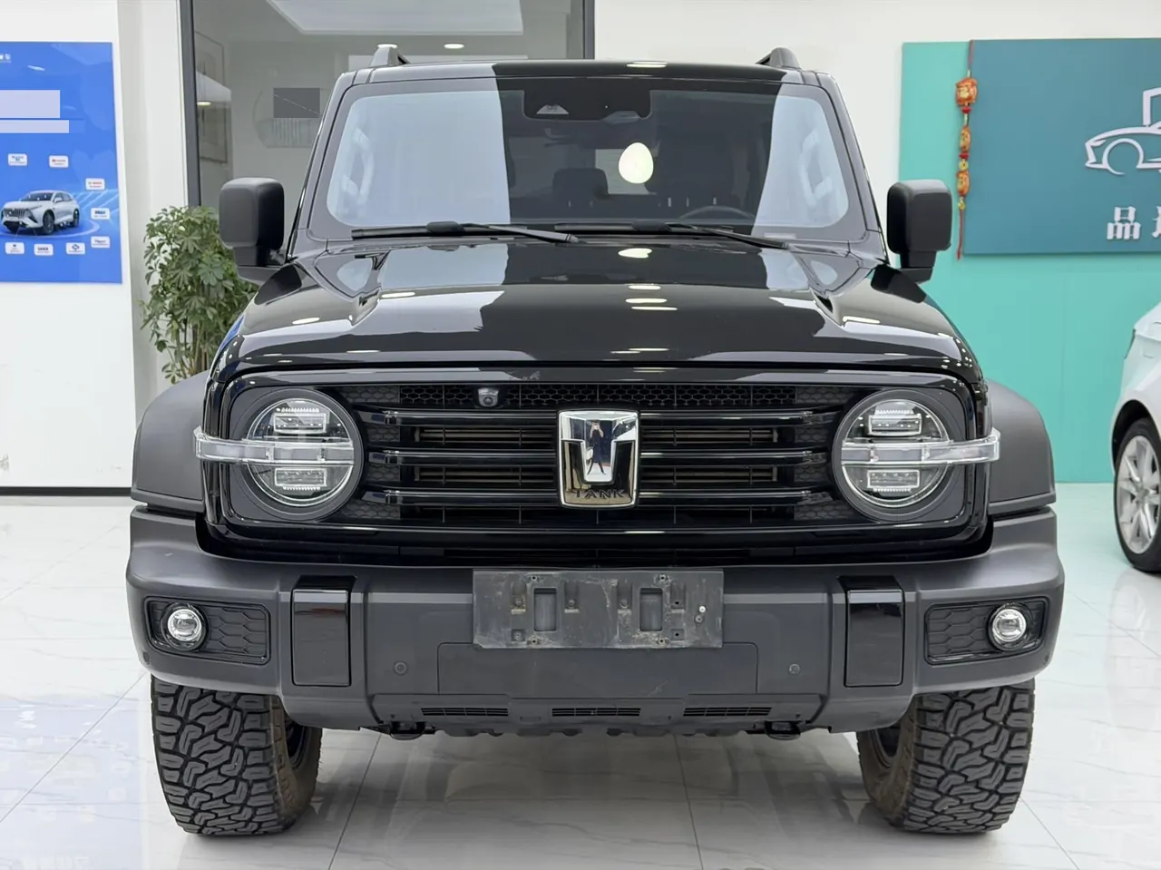 Tank 2023 Tank 300 2.0T Off-road Conqueror Automatic 2