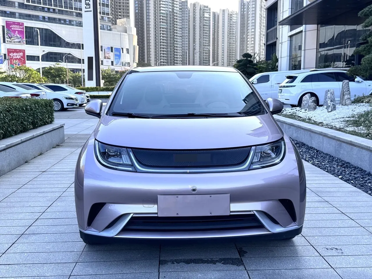 BYD 2021 Dolphin 405km Fashion Edition Automatic 3