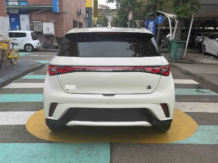 BYD 2021 Dolphin 405km Fashion Edition Automatic 2