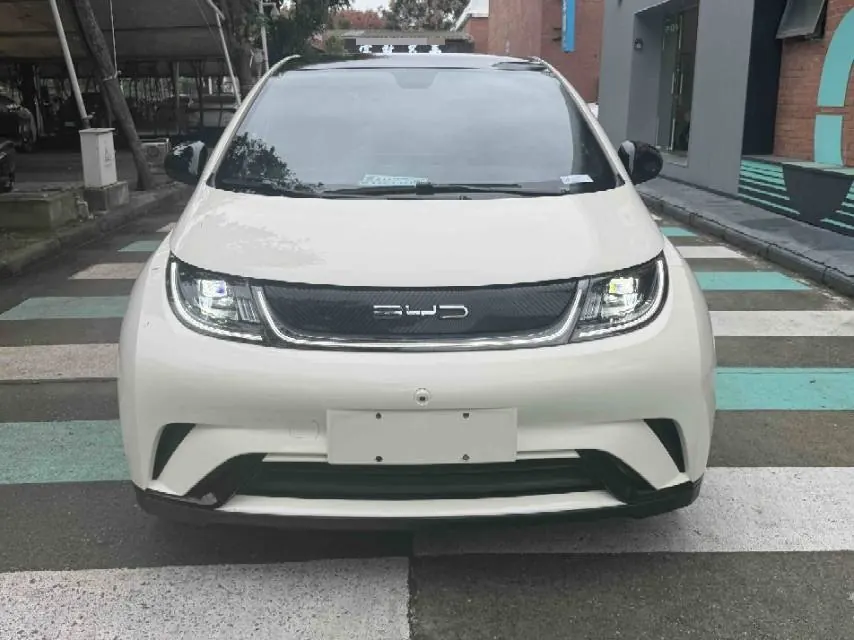 BYD 2021 Dolphin 405km Fashion Edition Automatic 3