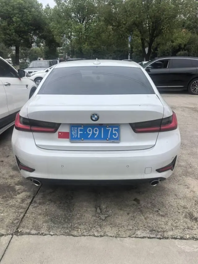 BMW 3 Series 2020 320i 2.0T Sports Suit Automatic Gear 2