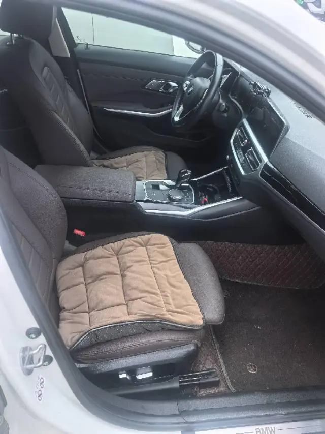 BMW 3 Series 2020 320i 2.0T Sports Suit Automatic Gear 7