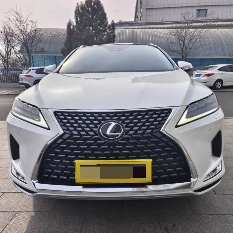 Lexus RX (Imported) 2020 RX300 2.0T Four-wheel Drive Elegant Automatic Gear 2