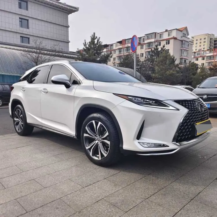 Lexus RX (Imported) 2020 RX300 2.0T Four-wheel Drive Elegant Automatic Gear 3