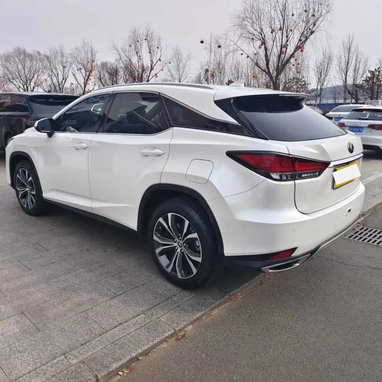 Lexus RX (Imported) 2020 RX300 2.0T Four-wheel Drive Elegant Automatic Gear 4