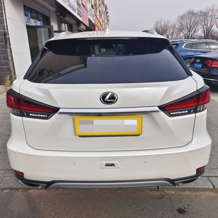 Lexus RX (Imported) 2020 RX300 2.0T Four-wheel Drive Elegant Automatic Gear 5