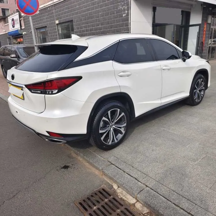 Lexus RX (Imported) 2020 RX300 2.0T Four-wheel Drive Elegant Automatic Gear 6