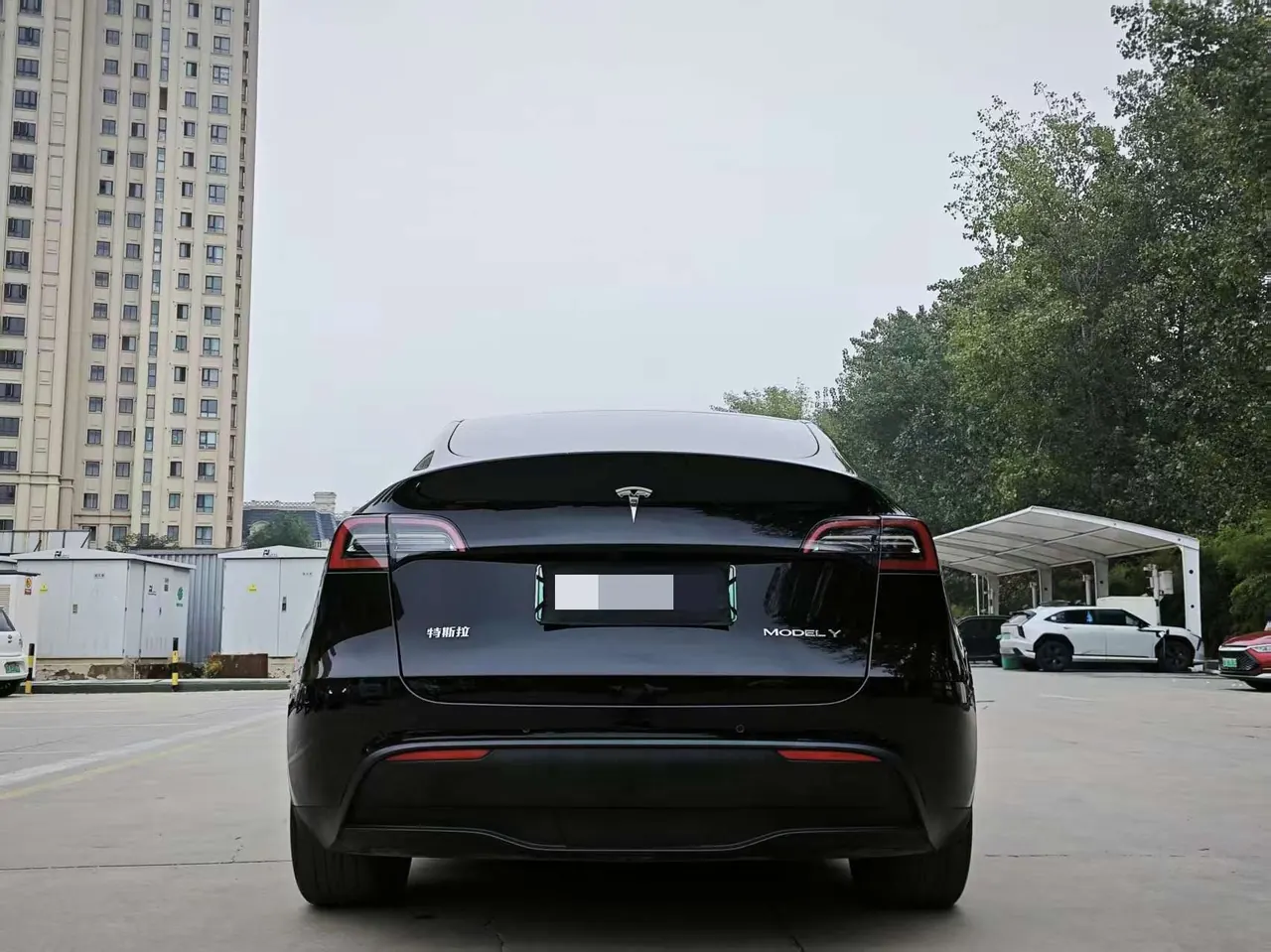 Tesla 2021 Model Y Standard Endurance Rear Drive Automatic Gear 8