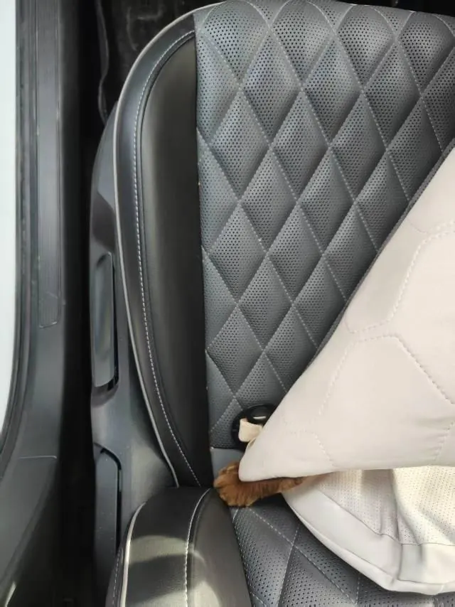 Volkswagen 2023 Sagittarius 1.5TSI 300TSI Flying Edition Automatic Gear 7