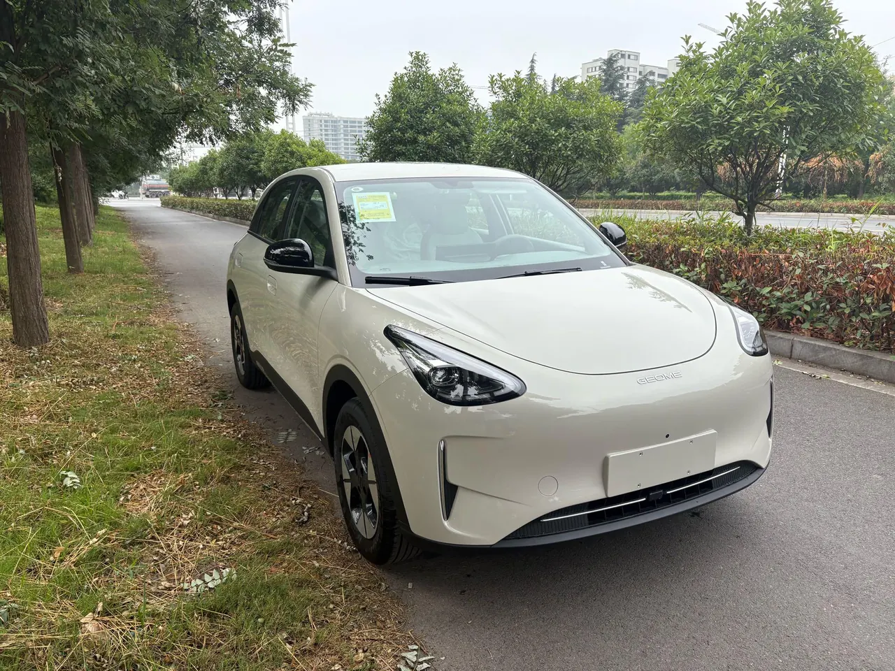 Geely 2026 Star Wish 310km Wind Edition Automatic Gear 3