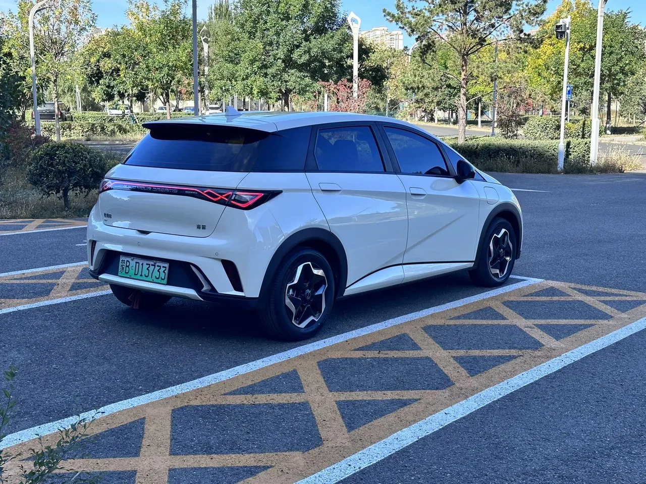 BYD 2025 Dolphin 420km Vital Edition Automatic Gear 4