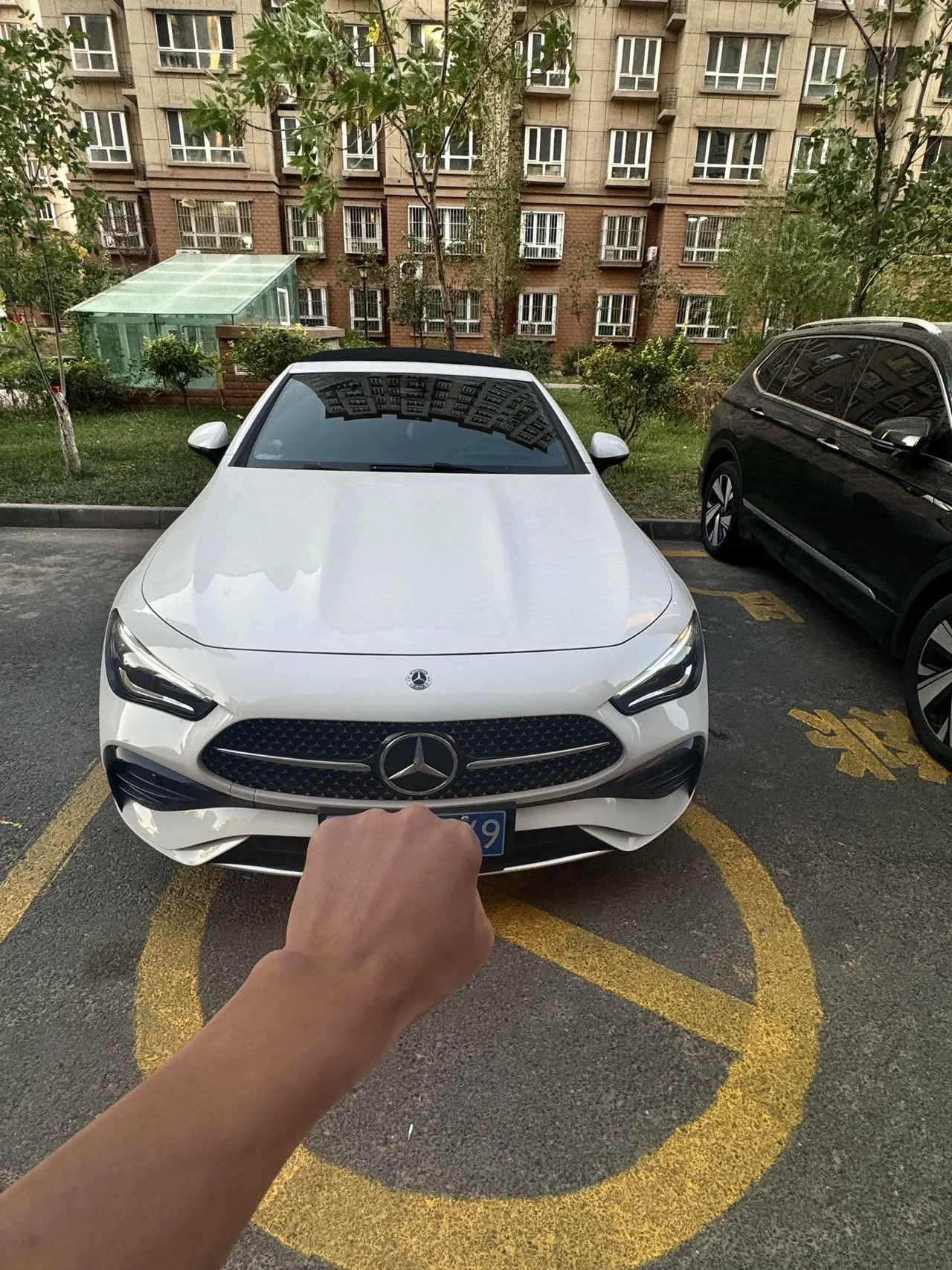 Mercedes Benz CLE (Imported) 2025 CLE 260 Cabriolet 48V 2.0T Automatic 2