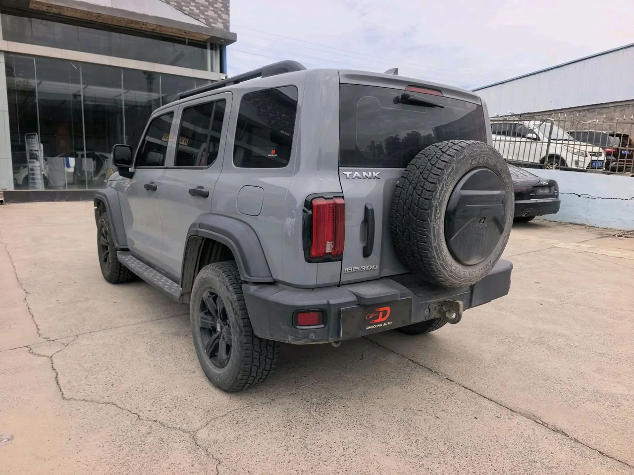 Tank 2021 Tank 300 2.0T Off-road Conqueror Automatic 4