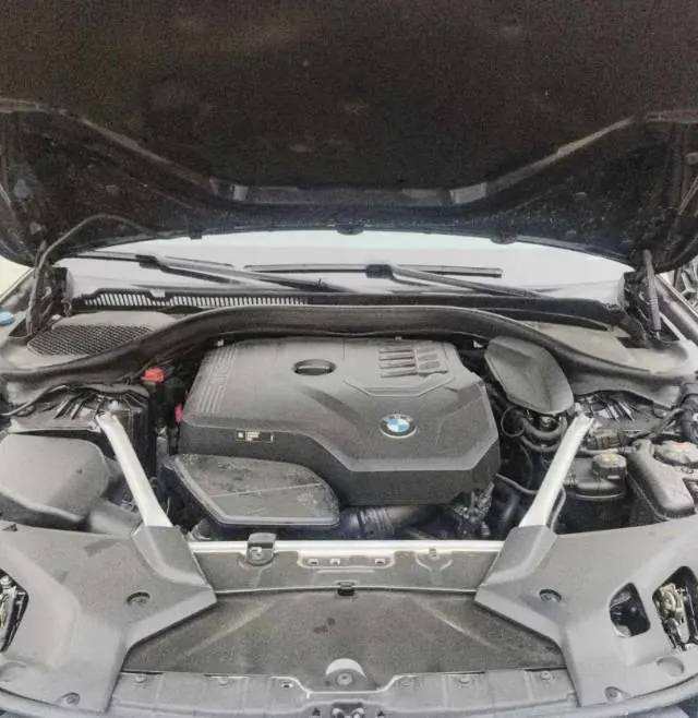 BMW 5 Series 2021 530Li 2.0T Leading M Sports Suit Automatic Gear 5