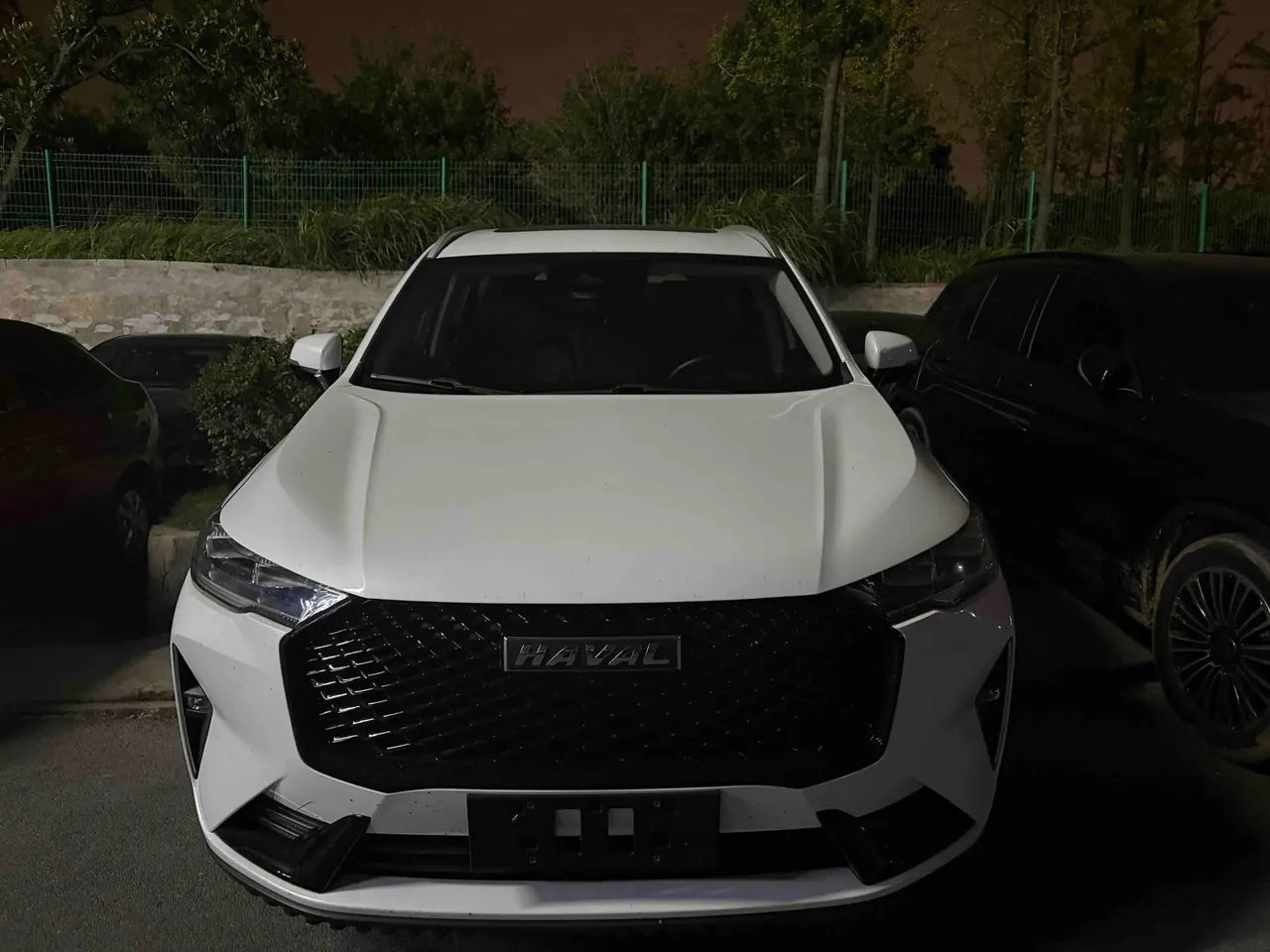 Haval 2021 H6 2.0GDIT four-wheel drive Max automatic gear 6