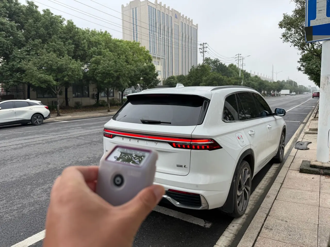 Geely 2021 XingyueL (Monjaro) 2.0TD EVO Two-Drive Flagship Automatic Gear 6