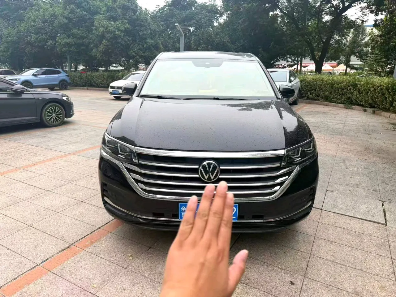 Volkswagen 2024 Wei (Viloran) 2.0TSI 380TSI Zunchi Edition Automatic Gear 6