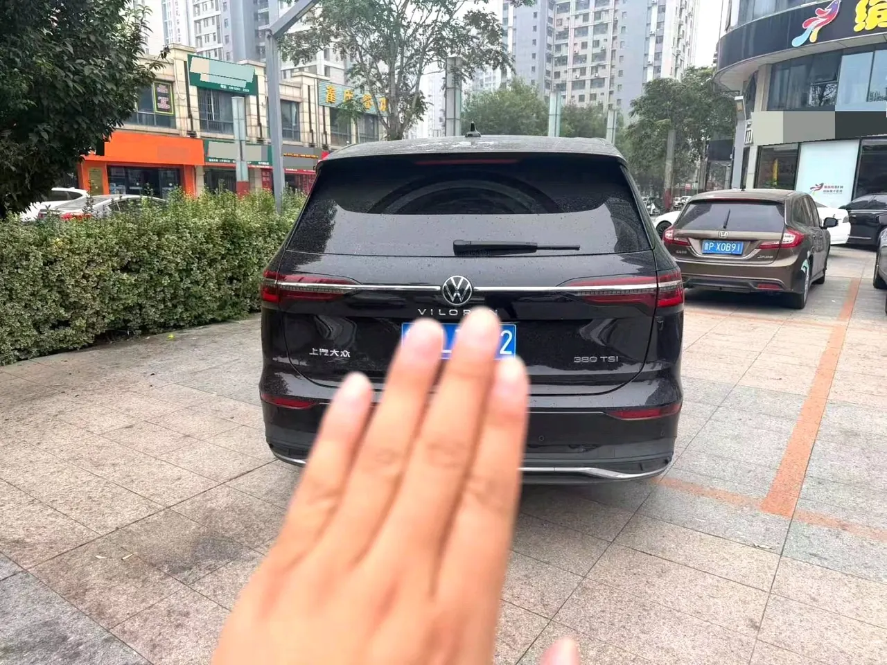 Volkswagen 2024 Wei (Viloran) 2.0TSI 380TSI Zunchi Edition Automatic Gear 7
