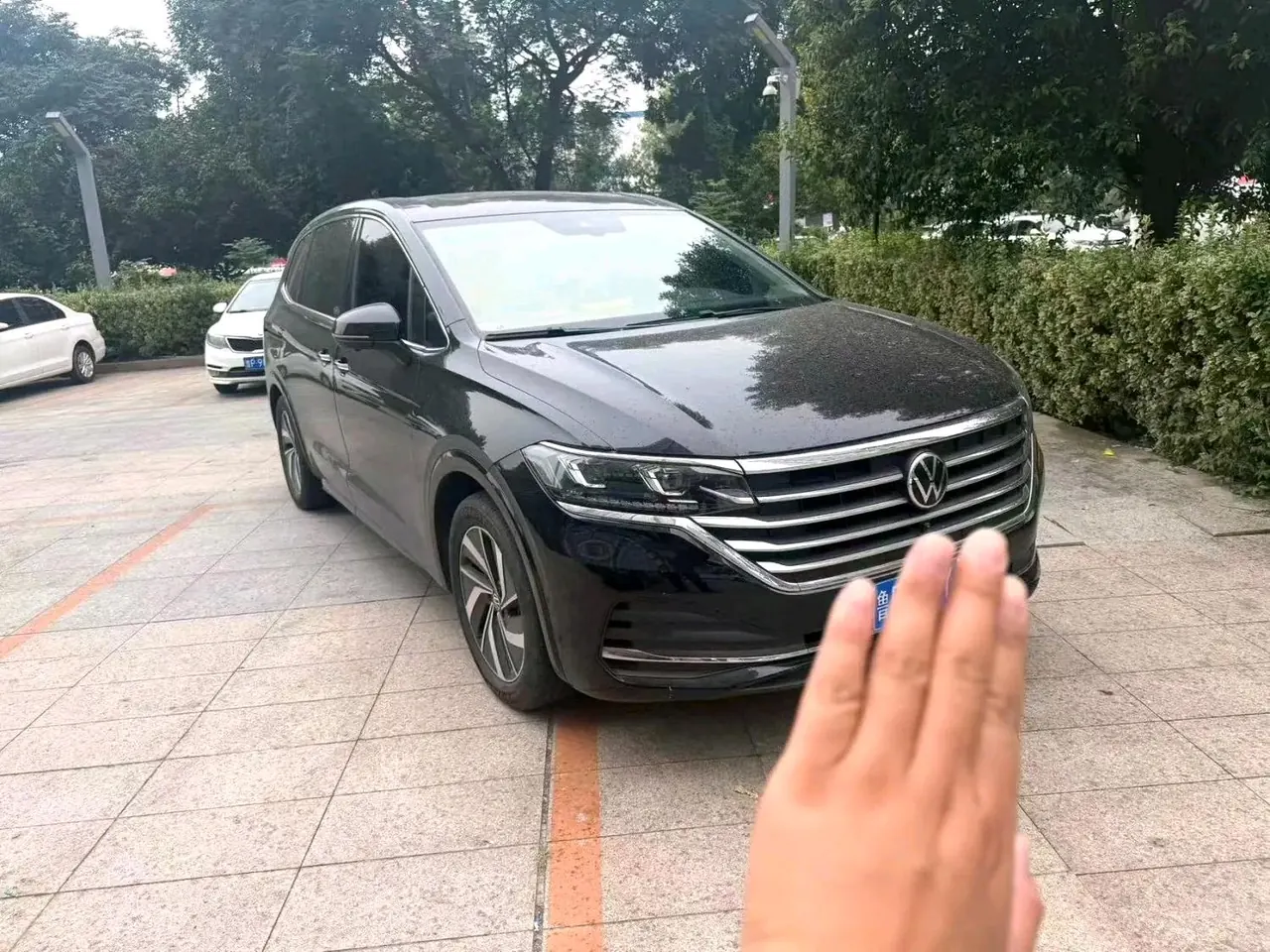 Volkswagen 2024 Wei (Viloran) 2.0TSI 380TSI Zunchi Edition Automatic Gear 8