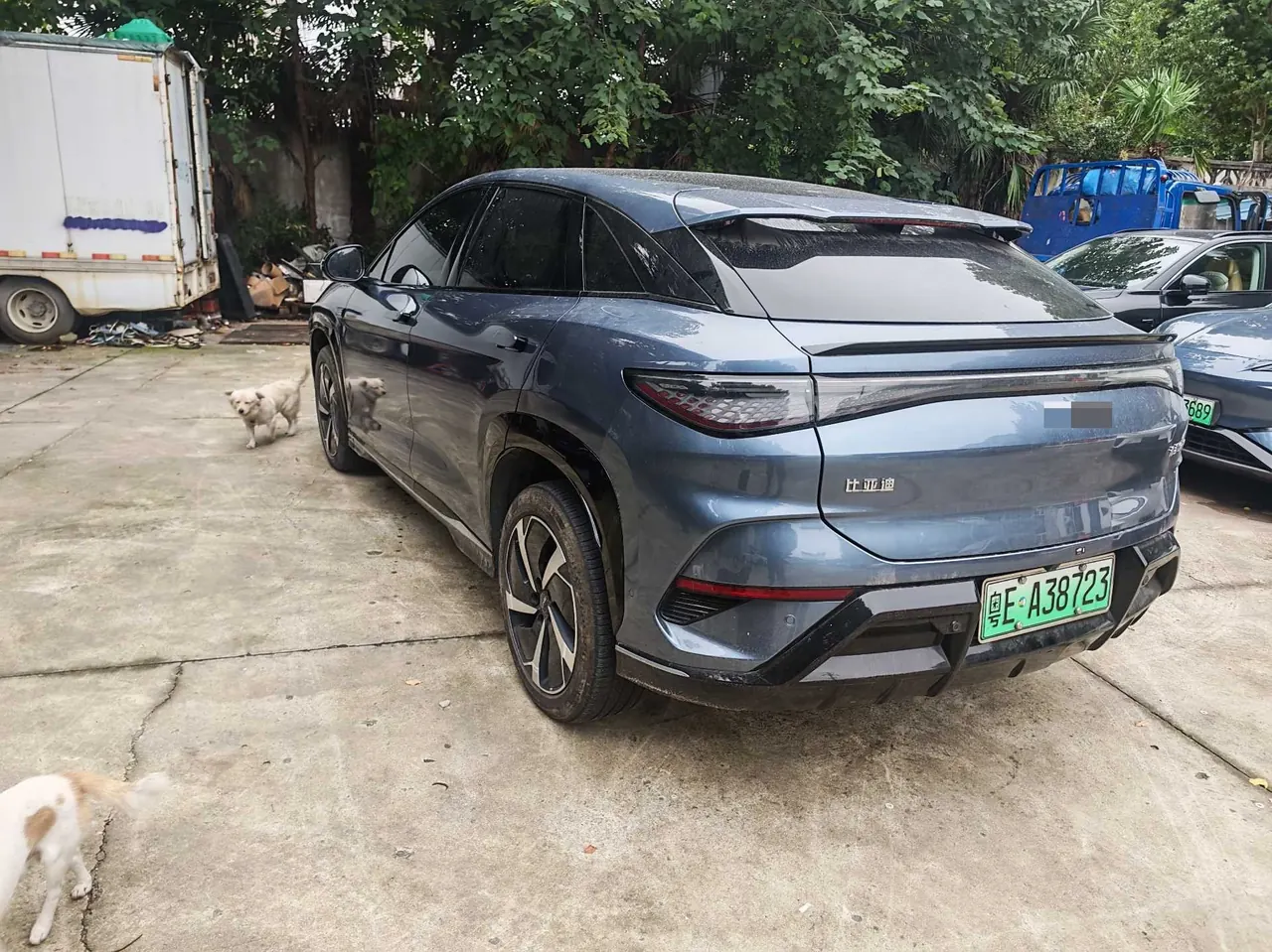 BYD 2024 Sea Lion 07 EV 610 Long Endurance Edition Automatic Gear 5