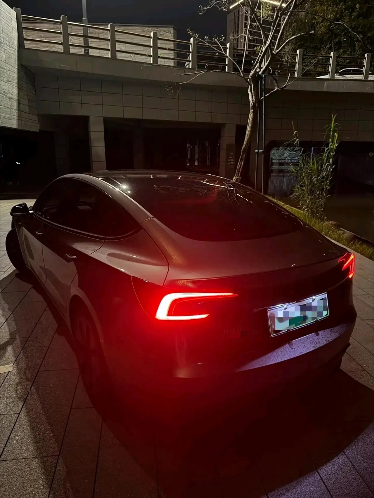 Tesla 2023 Model 3 Rejuvenation Edition Rear Wheel Drive Automatic Transmission 2