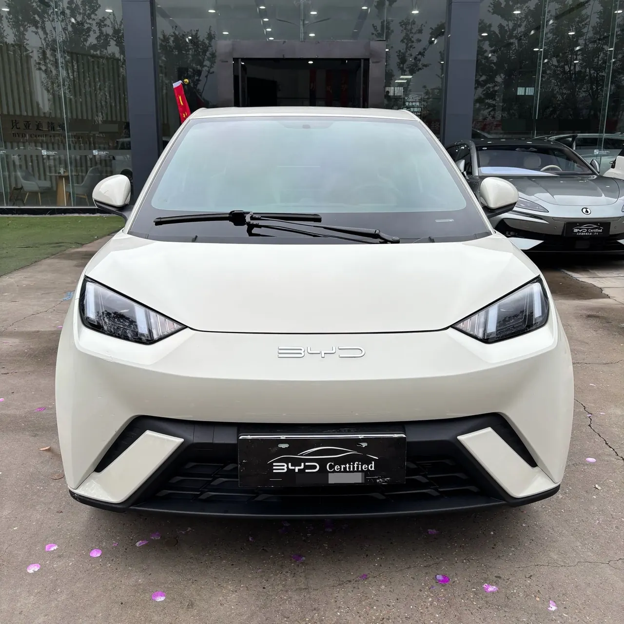 BYD 2023 seagull flying version automatic gear 2