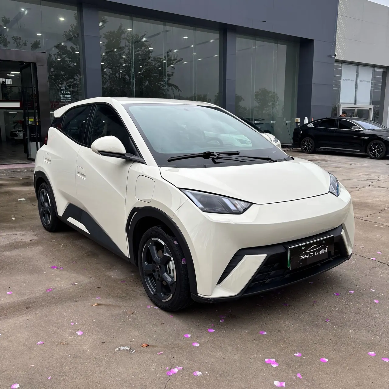 BYD 2023 seagull flying version automatic gear 3