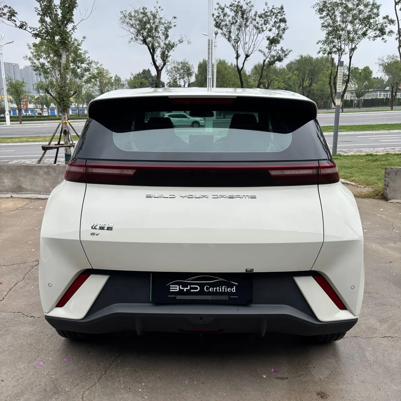 BYD 2023 seagull flying version automatic gear 8