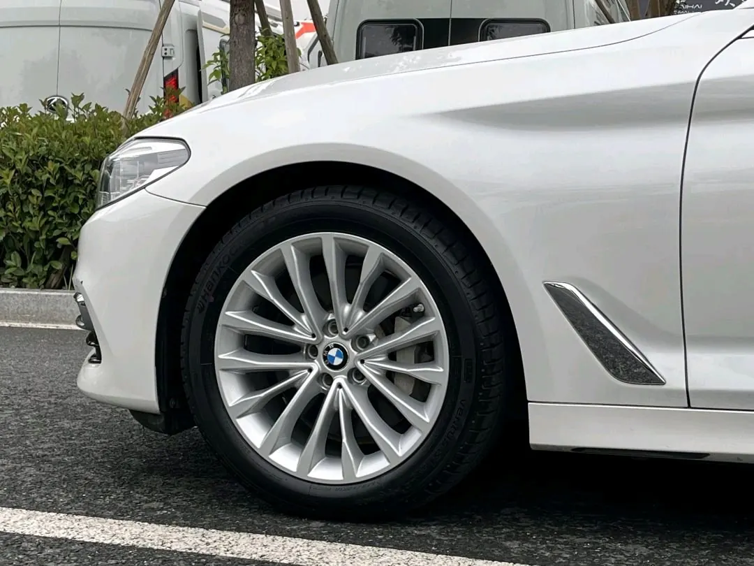 BMW 5 Series 2020 530Li 2.0T Leading Luxury Suit Automatic Gear 10