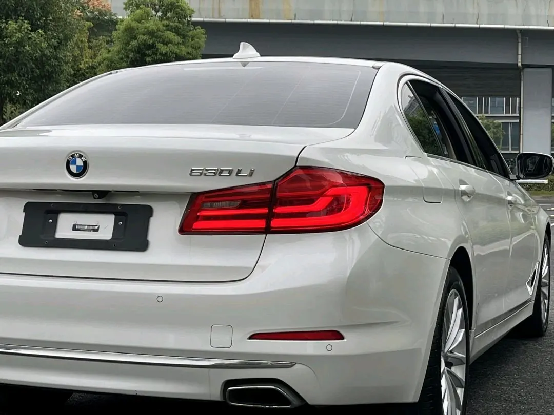 BMW 5 Series 2020 530Li 2.0T Leading Luxury Suit Automatic Gear 11