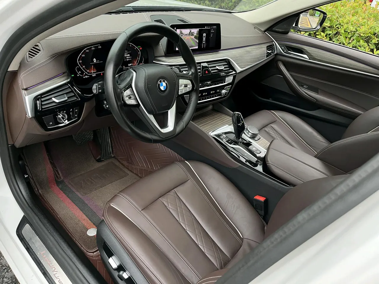 BMW 5 Series 2020 530Li 2.0T Leading Luxury Suit Automatic Gear 4