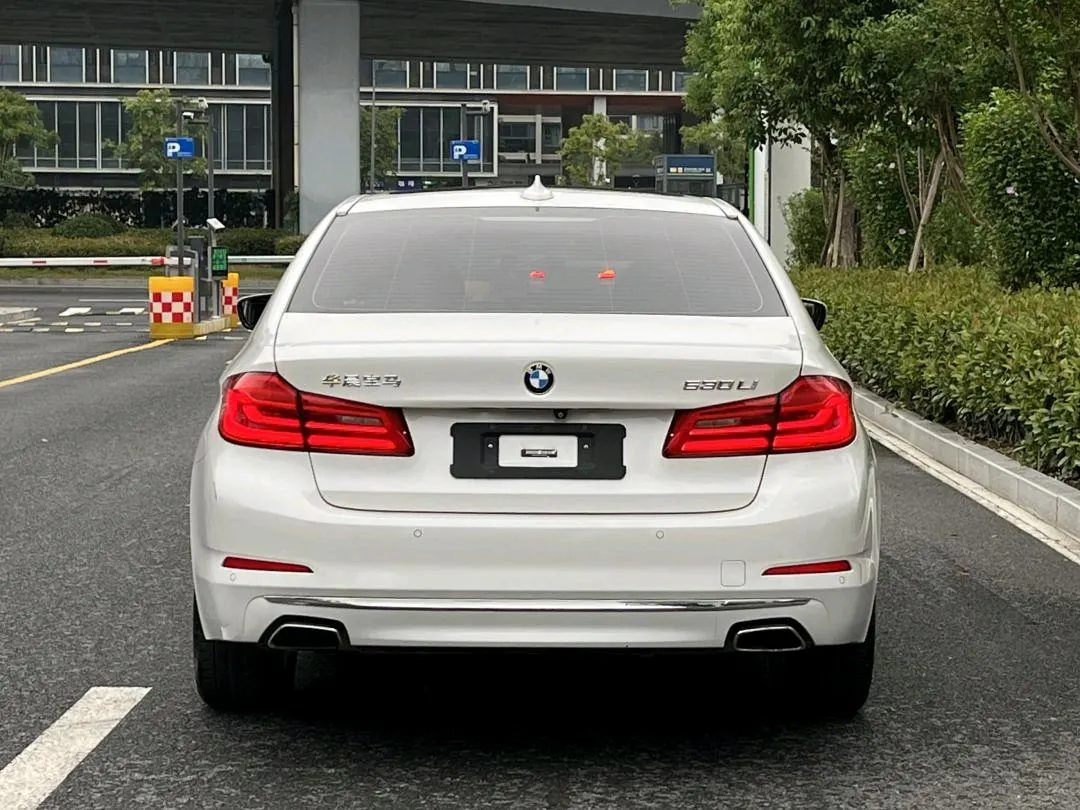 BMW 5 Series 2020 530Li 2.0T Leading Luxury Suit Automatic Gear 7