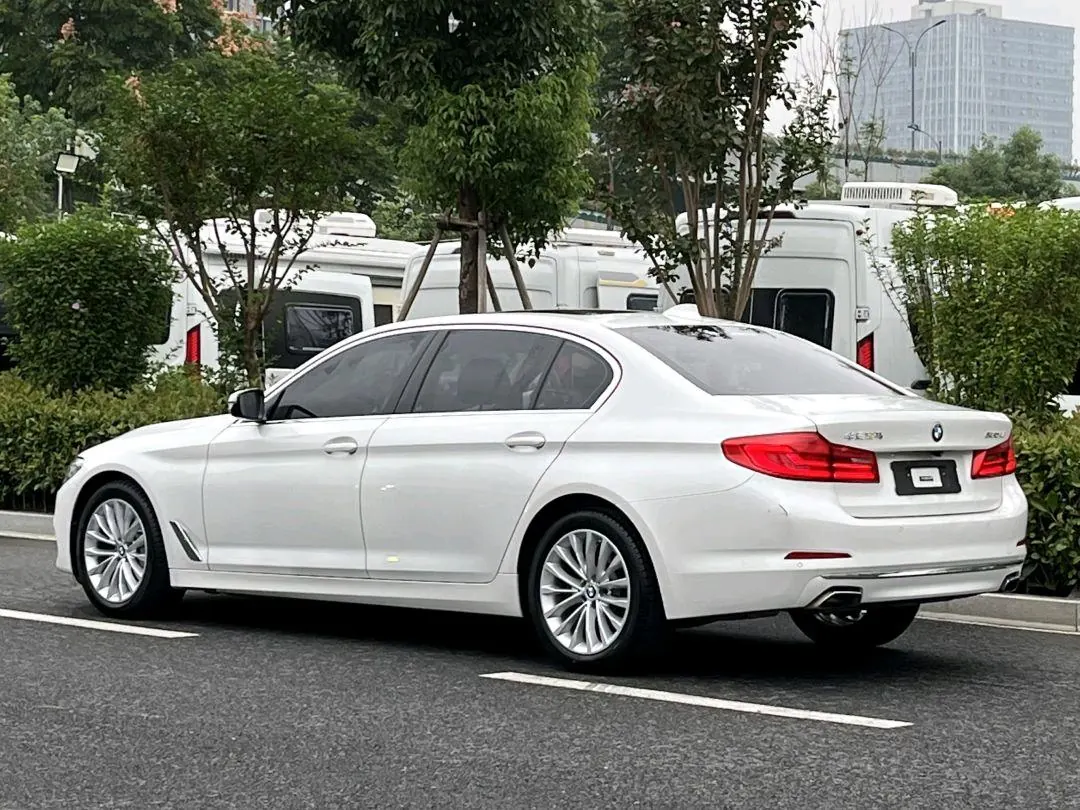BMW 5 Series 2020 530Li 2.0T Leading Luxury Suit Automatic Gear 8