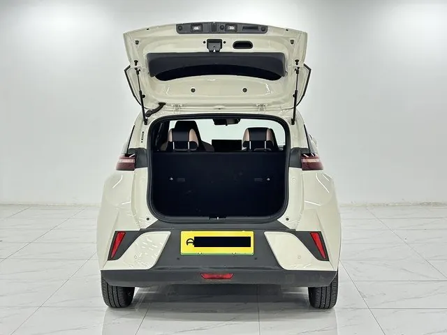 BYD 2025 Seagull Smart Driving Edition 305km Free Edition Automatic Gear 13