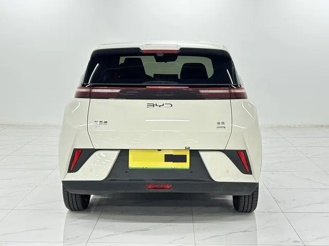 BYD 2025 Seagull Smart Driving Edition 305km Free Edition Automatic Gear 14