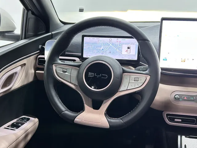 BYD 2025 Seagull Smart Driving Edition 305km Free Edition Automatic Gear 18