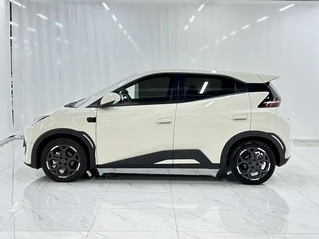 BYD 2025 Seagull Smart Driving Edition 305km Free Edition Automatic Gear 3