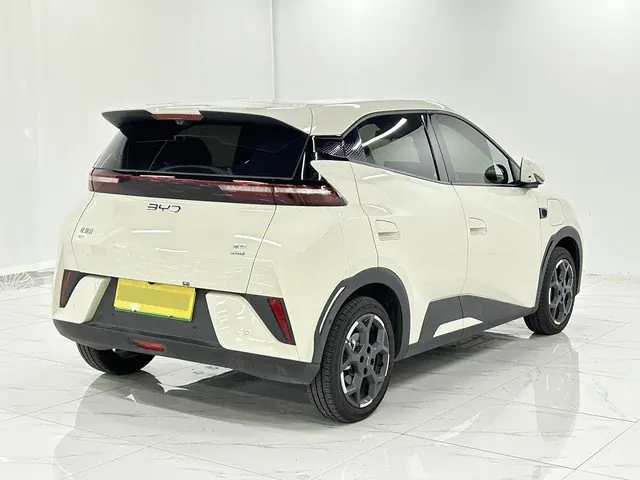 BYD 2025 Seagull Smart Driving Edition 305km Free Edition Automatic Gear 4