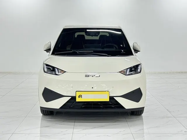 BYD 2025 Seagull Smart Driving Edition 305km Free Edition Automatic Gear 6