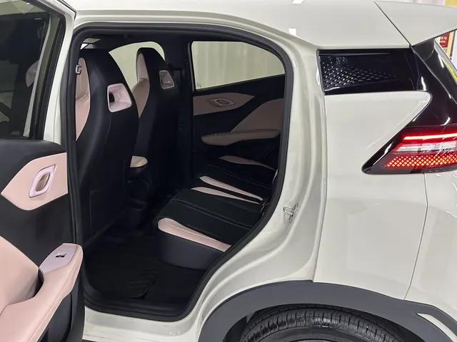 BYD 2025 Seagull Smart Driving Edition 305km Free Edition Automatic Gear 9