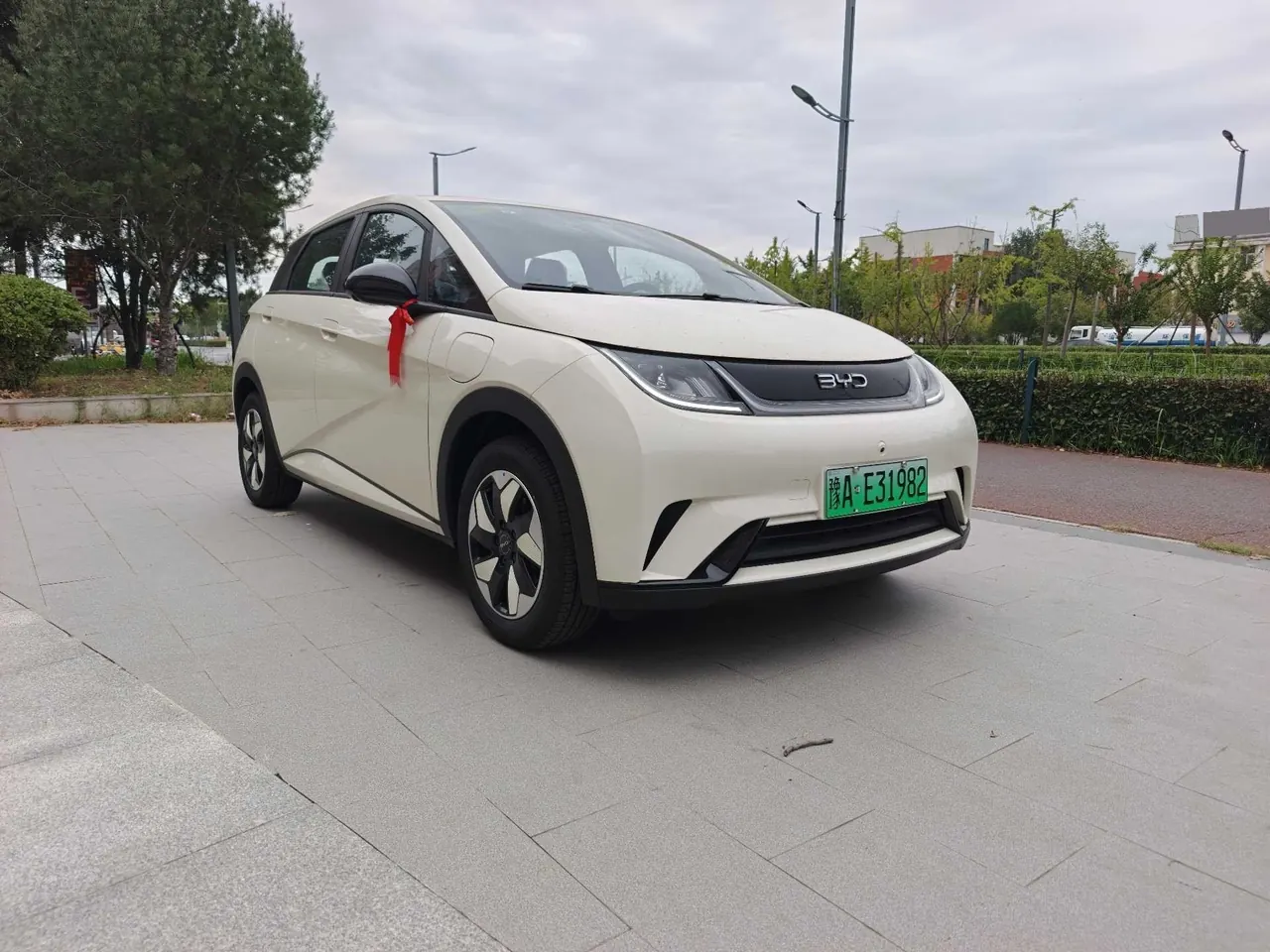 BYD 2025 Dolphins 420km Free Edition Automatic 2
